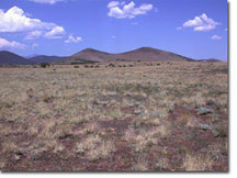 Alpine Ranches